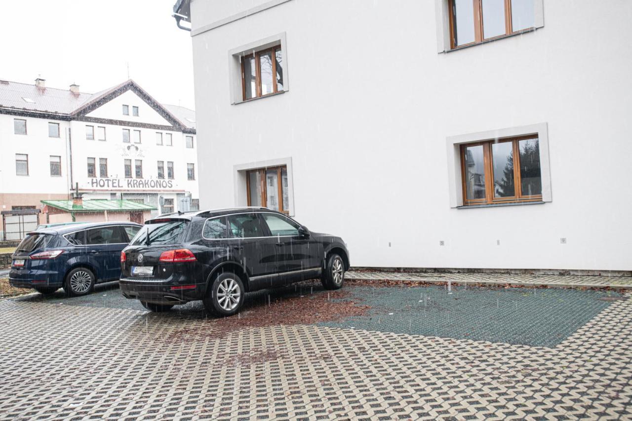 Rocky Apartment Rokytnice nad Jizerou Buitenkant foto